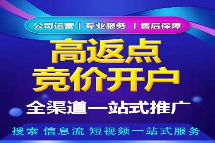 百度竞价运营实战技巧：案例分析与优化